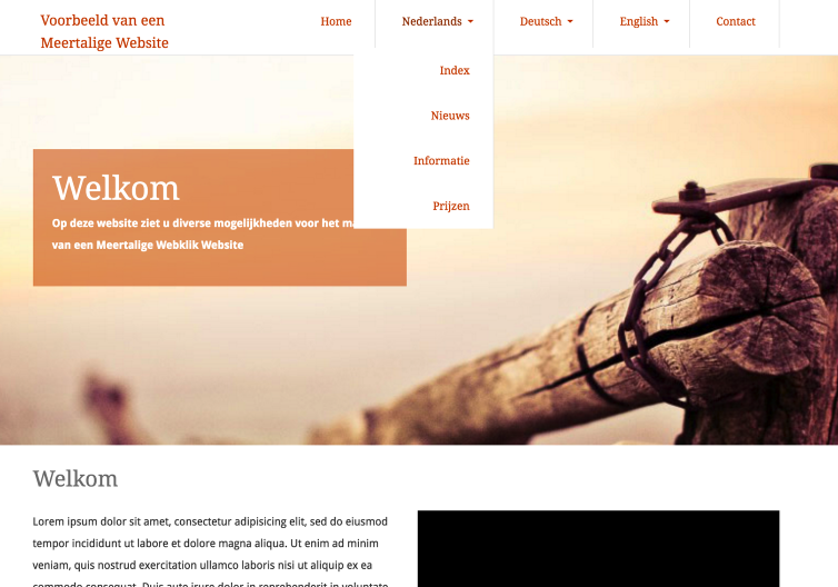 Optie 1. Dropdown menu per taal
instellen