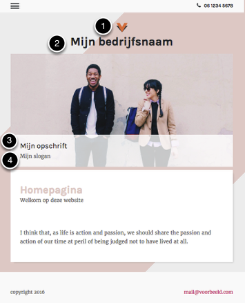 Voorbeeld van de basisinformatie op de
website