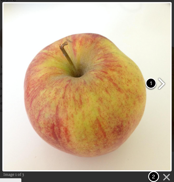 Galerij openen en nader
bekijken