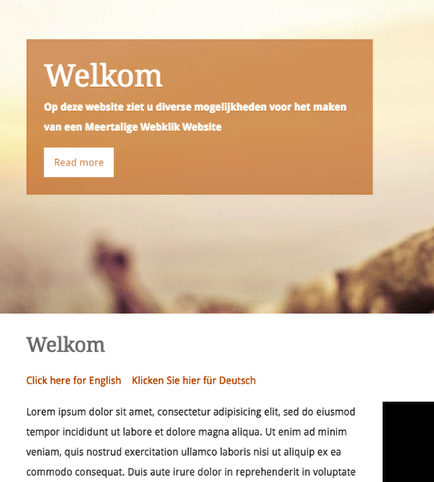 Optie 3. Een tekst die verwijst naar de vertaalde
pagina's