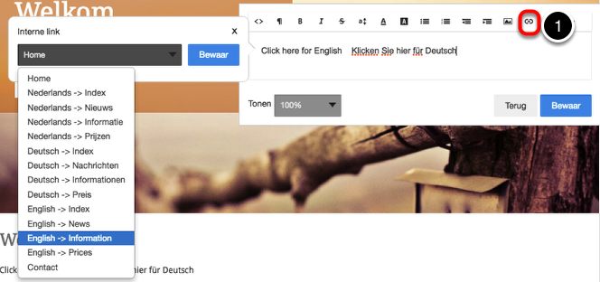 Stap 2. Schrijf de tekst en koppel een
link