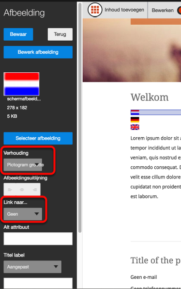 Stap 1. Voeg een afbeelding toe en kies voor verhouding 'pictogram
grootte'