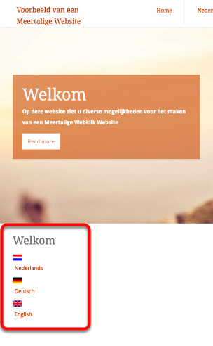 Optie 2. Een vlag (afbeelding) van de taal op elke
pagina